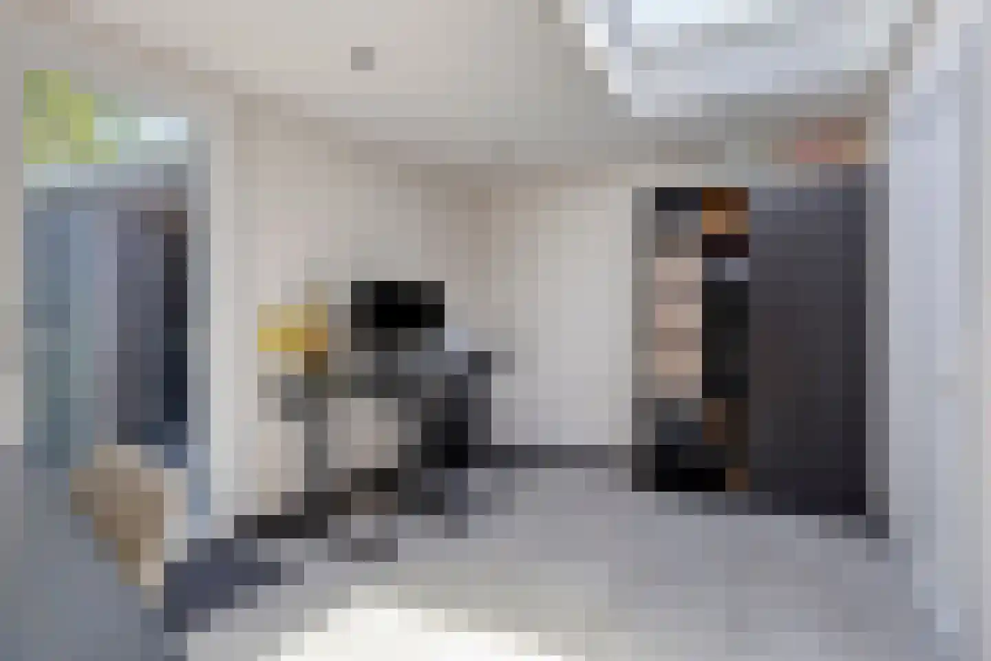 Willem van de Wakkerstraat 9 Nuenen thumbnail 33