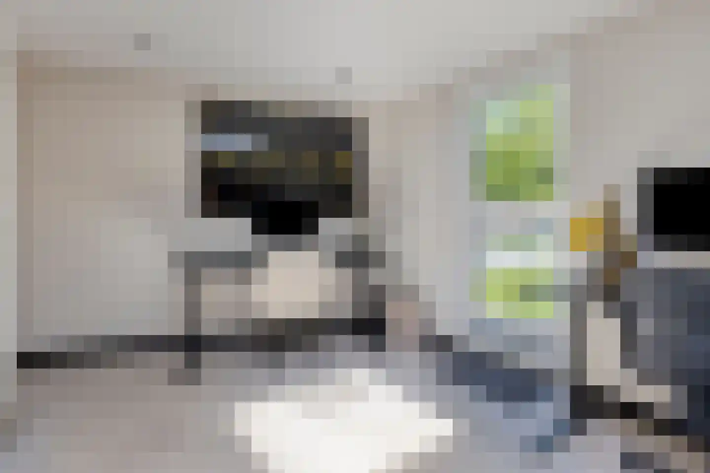 Willem van de Wakkerstraat 9 Nuenen thumbnail 34