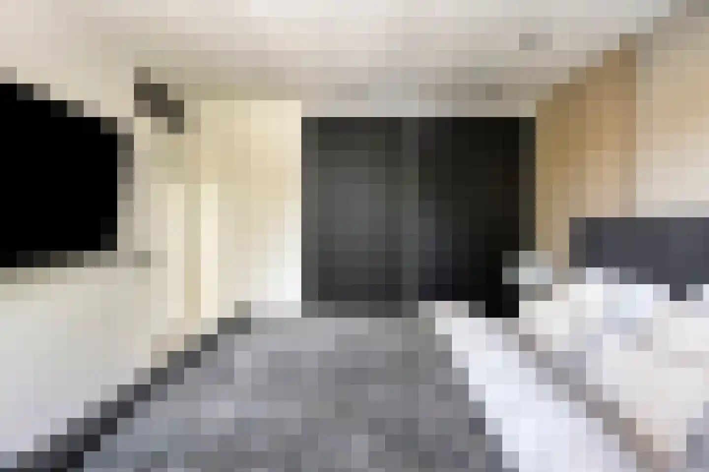 Willem van de Wakkerstraat 9 Nuenen thumbnail 37