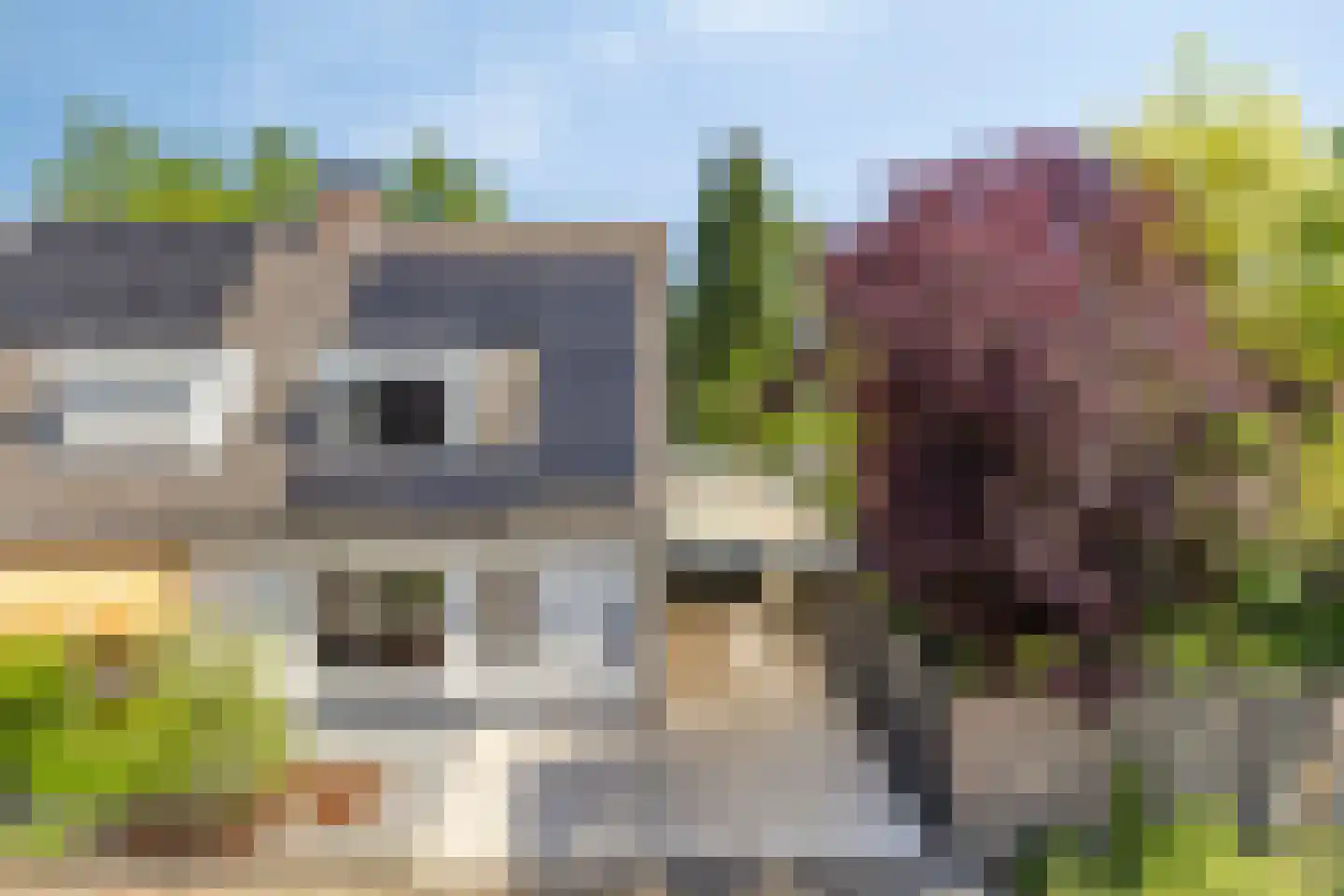 Willem van de Wakkerstraat 9 Nuenen thumbnail 5