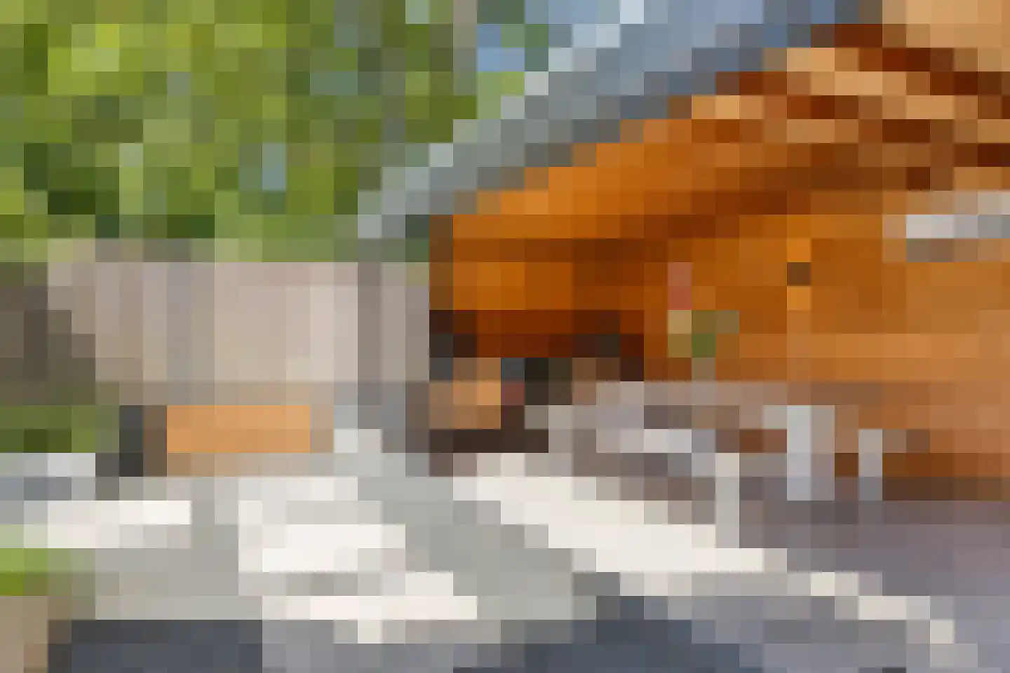 Willem van de Wakkerstraat 9 Nuenen thumbnail 64