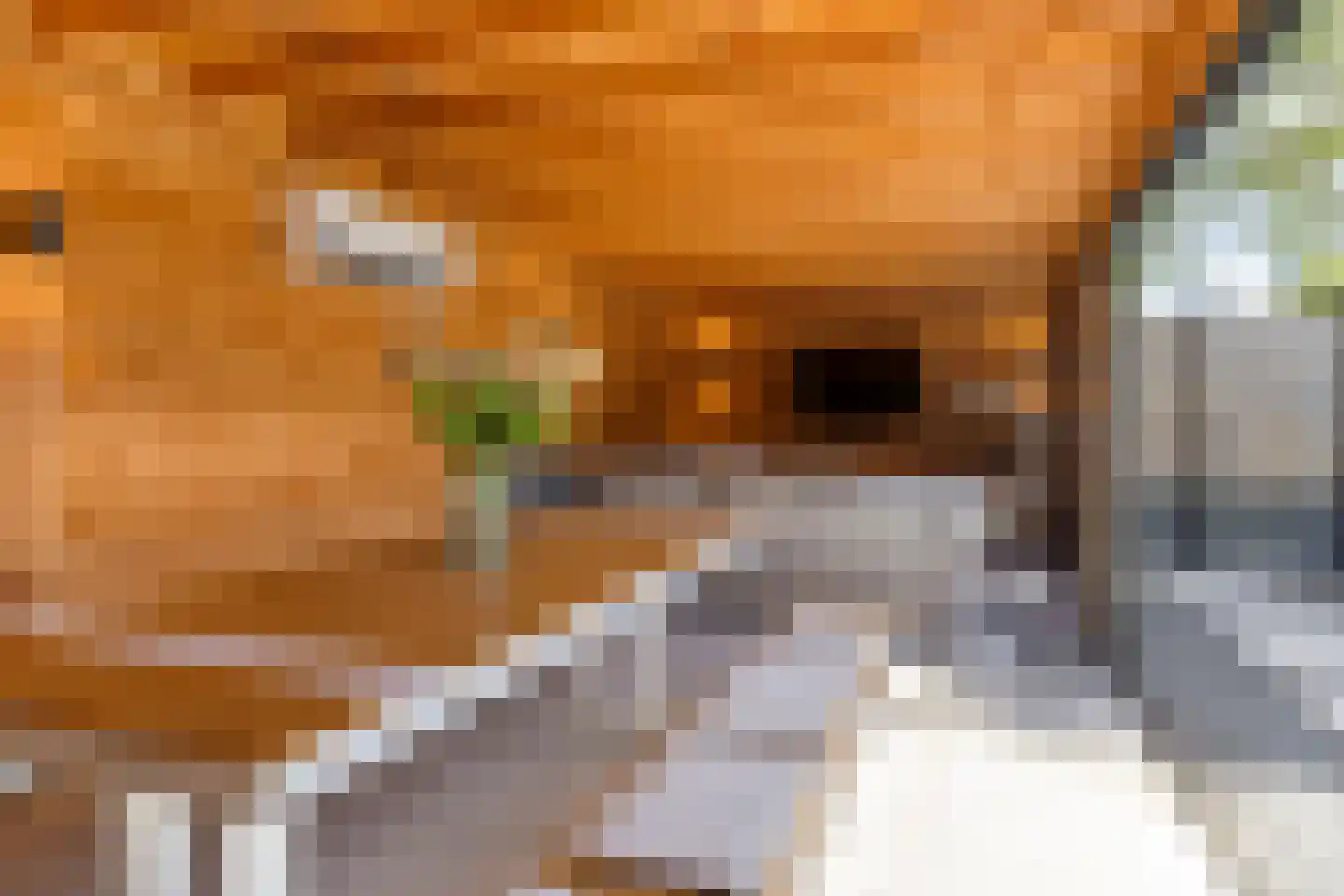 Willem van de Wakkerstraat 9 Nuenen thumbnail 66
