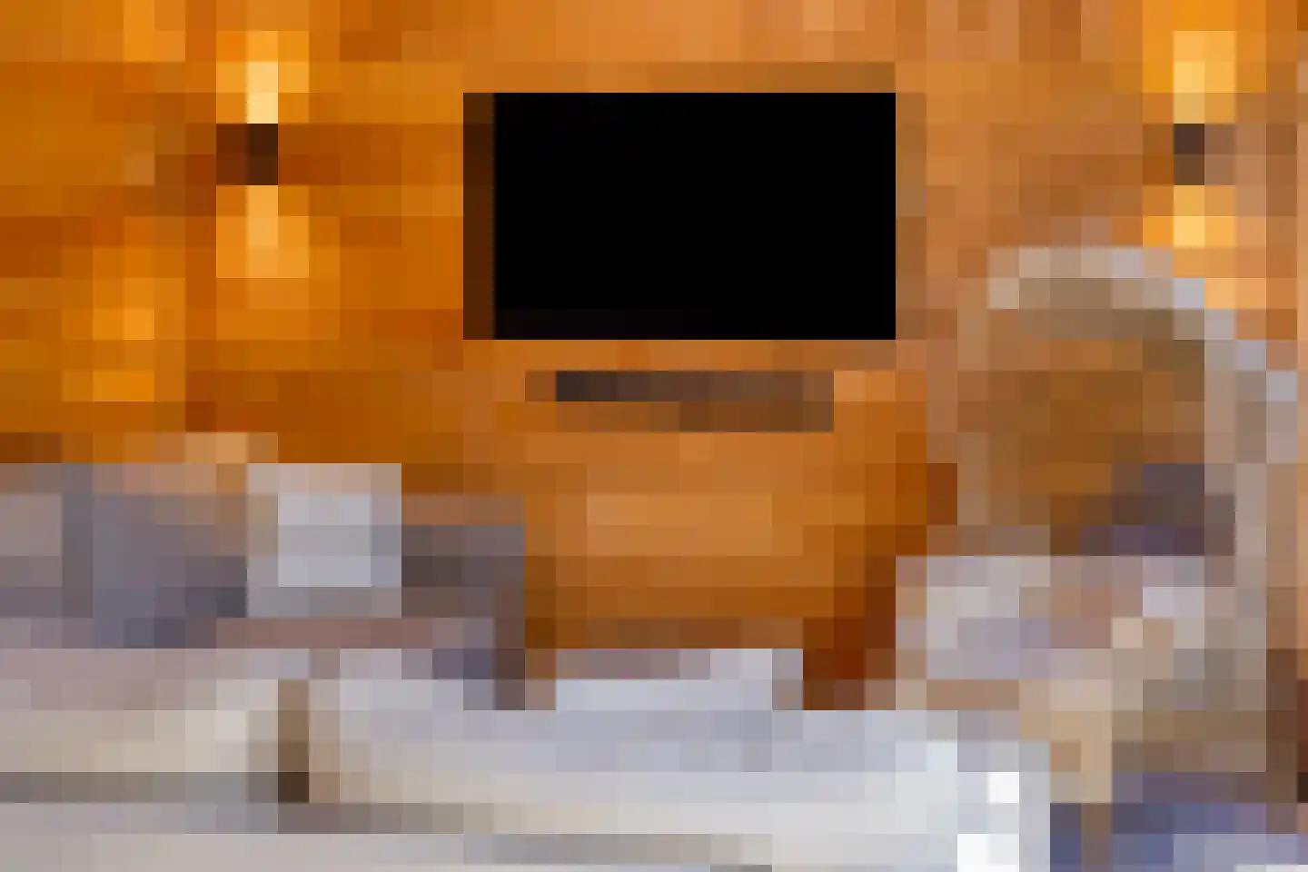 Willem van de Wakkerstraat 9 Nuenen thumbnail 70