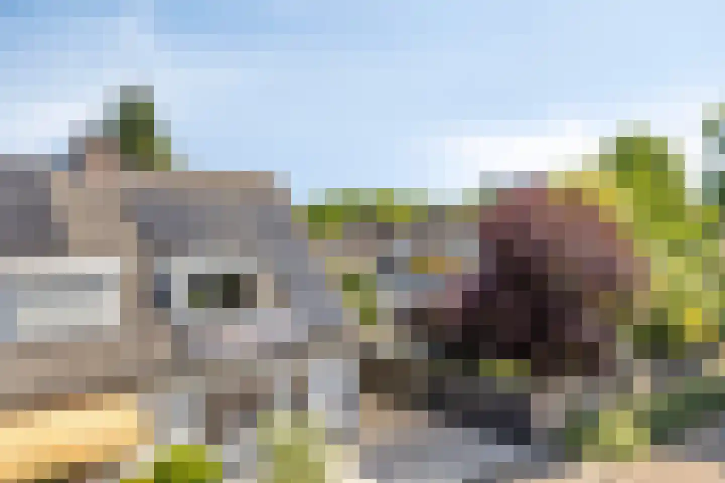 Willem van de Wakkerstraat 9 Nuenen thumbnail 81