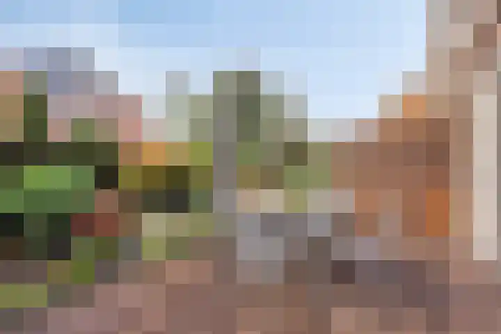 Willem van den Bergstraat 1 Volendam thumbnail 12
