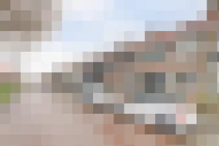 Willem van der Kaaijstraat 31 's-Gravenzande thumbnail 30