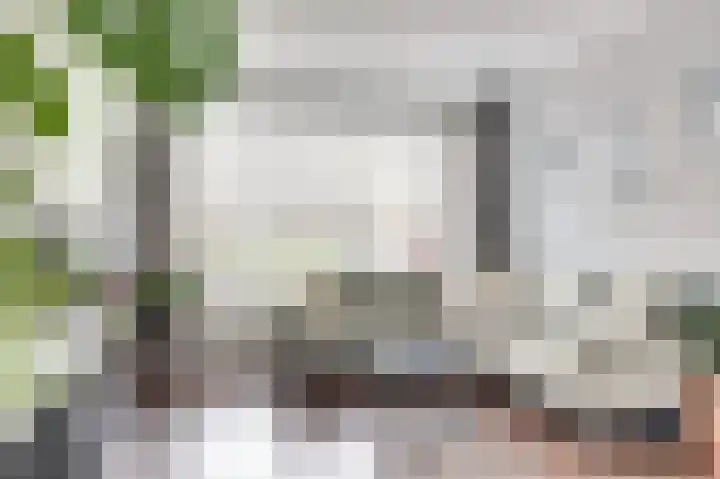 Willem van der Kaaijstraat 31 's-Gravenzande thumbnail 4