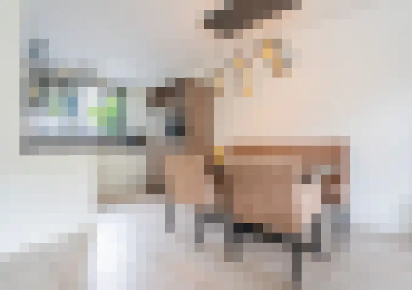 Willem van der Scheepad 13 Hoogvliet Rotterdam thumbnail 13