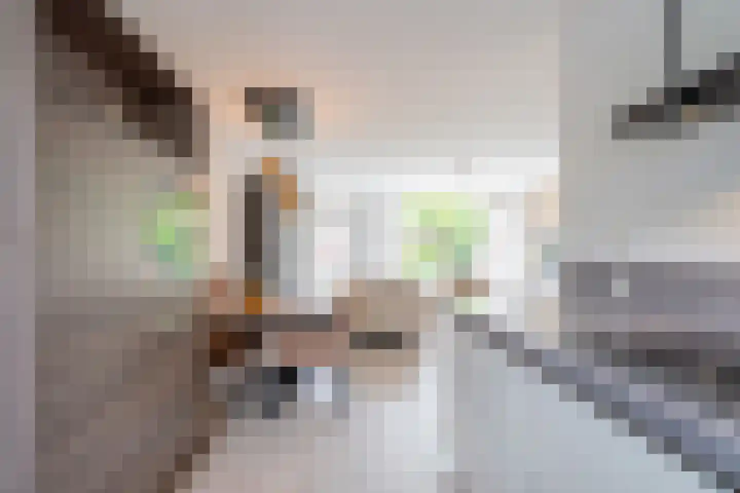 Willem van der Scheepad 13 Hoogvliet Rotterdam thumbnail 14