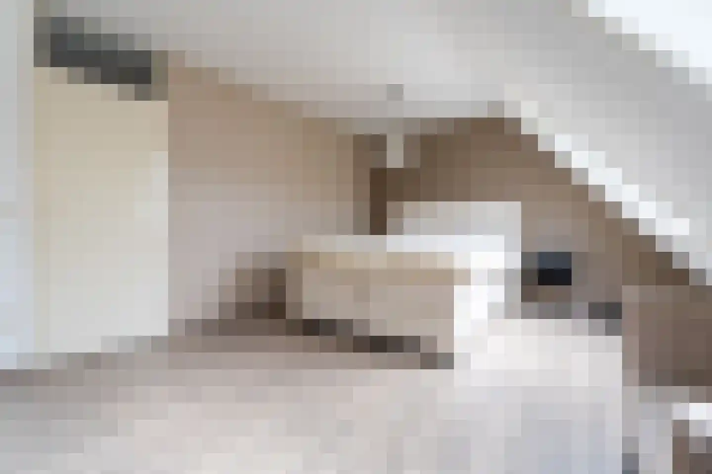 Willem van der Scheepad 13 Hoogvliet Rotterdam thumbnail 21