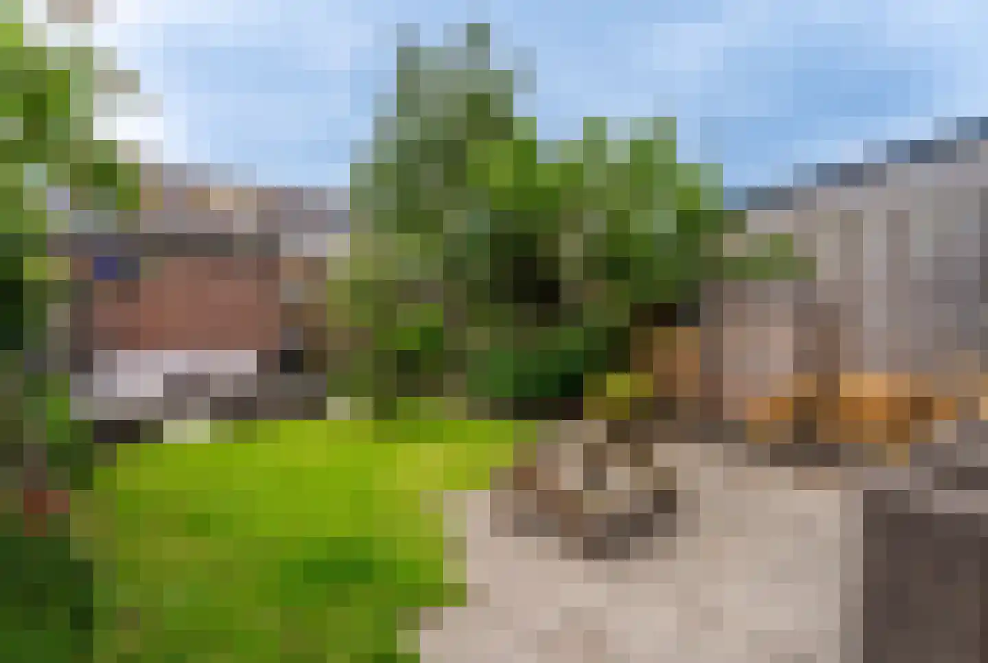 Willem van der Scheepad 13 Hoogvliet Rotterdam thumbnail 5