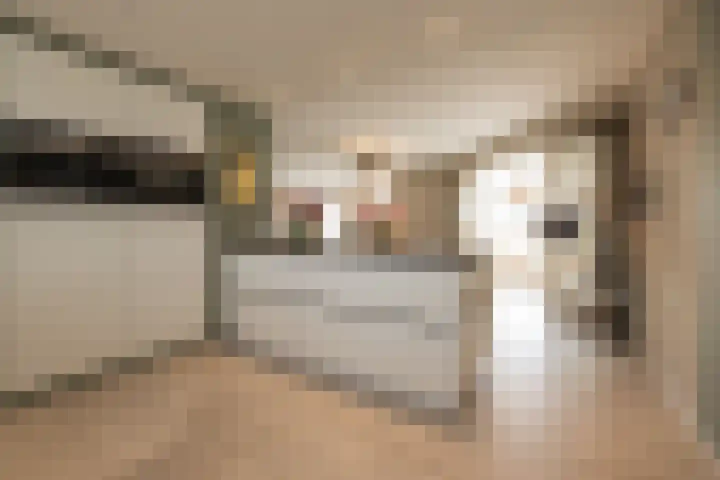 Willem van der Veldenweg 21 Leimuiden thumbnail 21