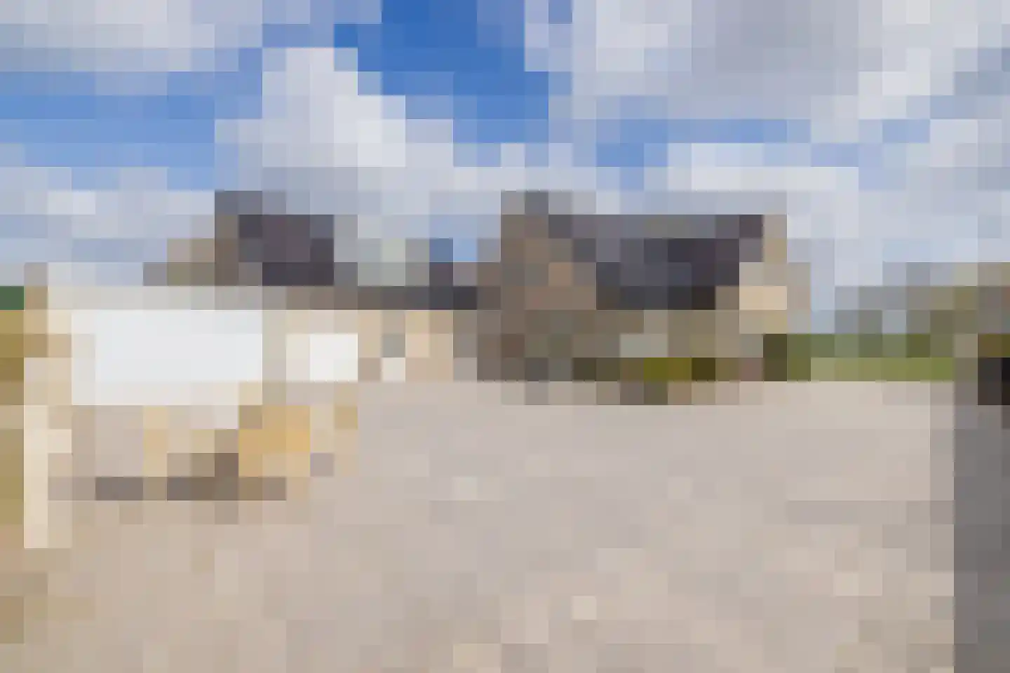 Willem van der Veldenweg 21 Leimuiden thumbnail 37