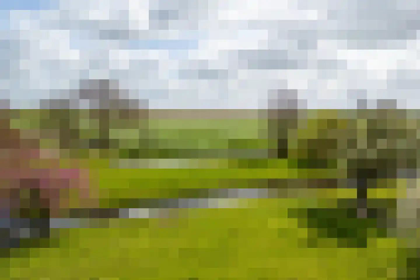 Willem van der Veldenweg 21 Leimuiden thumbnail 47