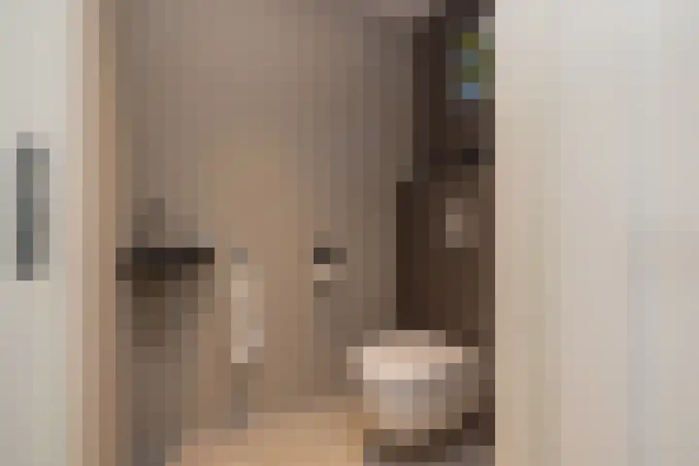 Willem van der Veldenweg 21 Leimuiden thumbnail 7