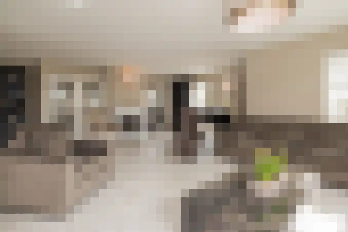 Willem van der Veldenweg 21 Leimuiden thumbnail 9