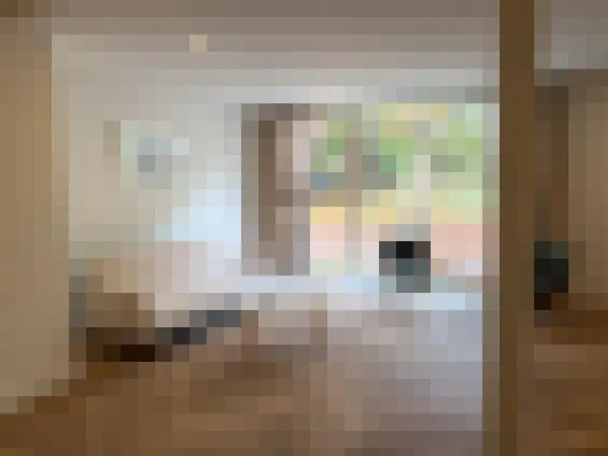 Willem van der Veldenweg 24 Leimuiden thumbnail 4