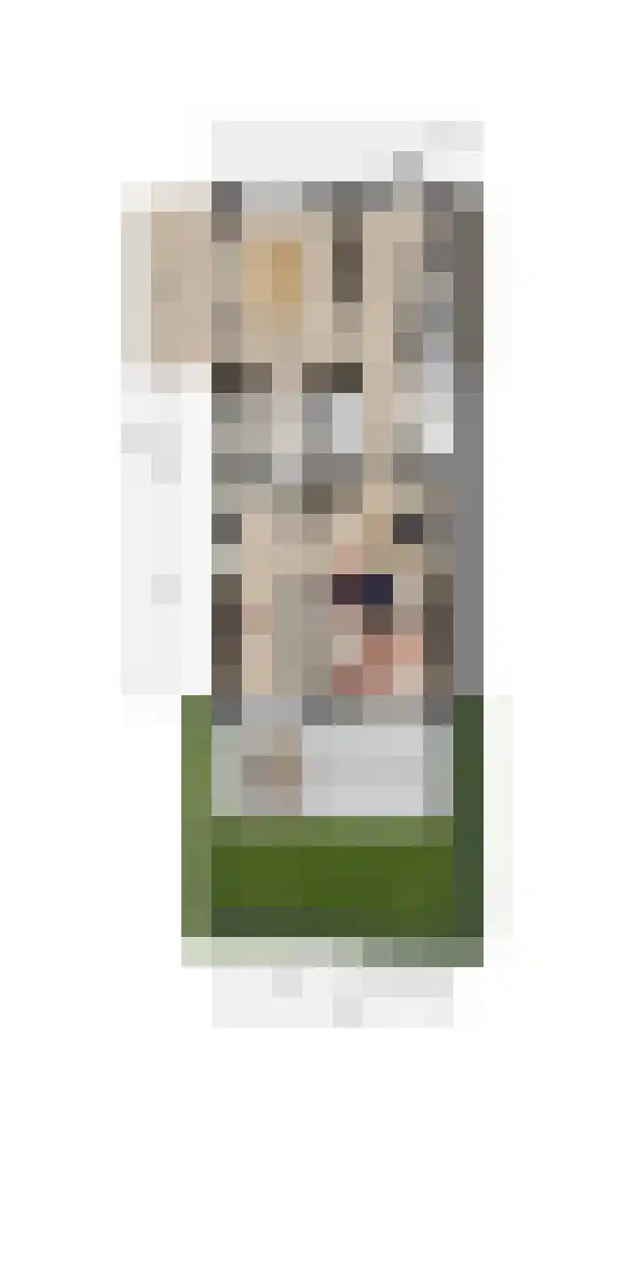 Willem van der Veldenweg 33 d Leimuiden thumbnail 8