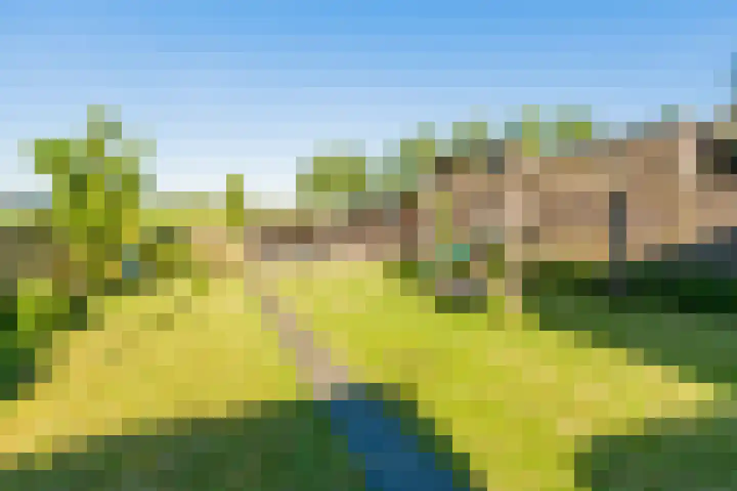 Willem van der Veldenweg 75 Leimuiden thumbnail 60