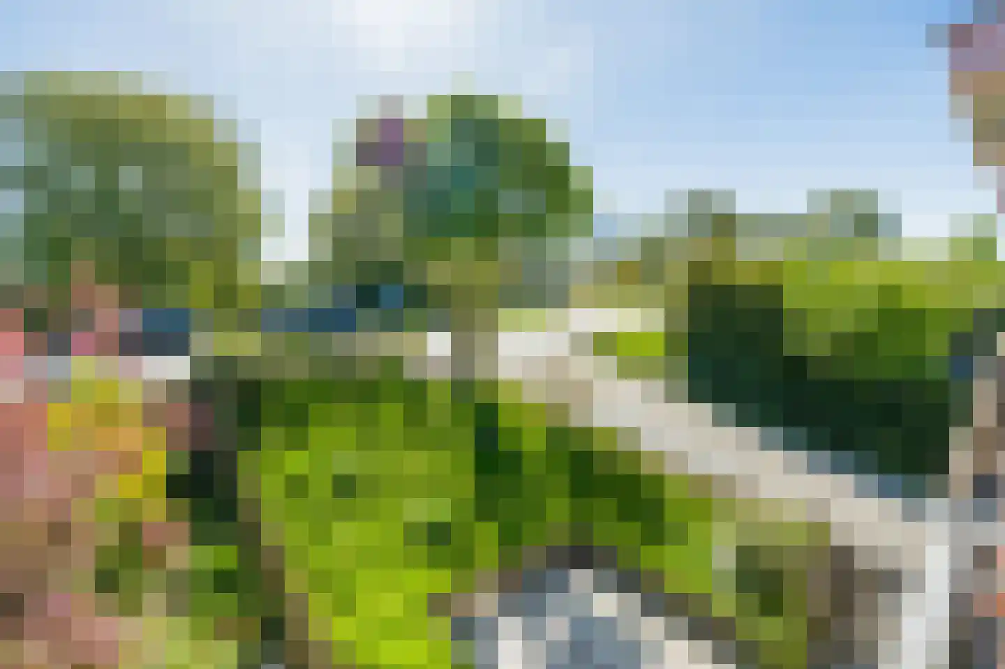 Willem van der Veldenweg 75 Leimuiden thumbnail 66