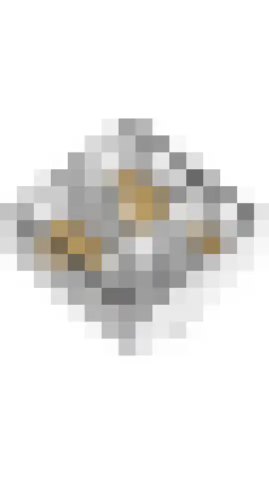 Willem van der Voetstraat 4 Monnickendam thumbnail 39