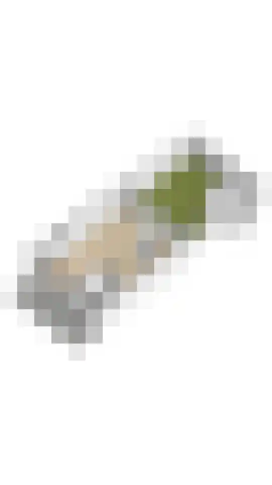 Willem van der Voetstraat 4 Monnickendam thumbnail 43