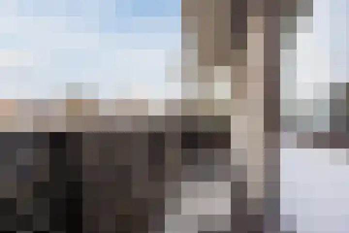 Willem van der Zaanstraat 1 Hellevoetsluis thumbnail 20