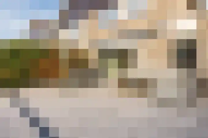 Willem van der Zaanstraat 1 Hellevoetsluis thumbnail 35