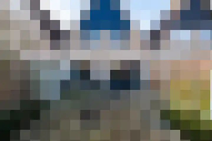 Willem van der Zaanstraat 16 Hellevoetsluis thumbnail 27