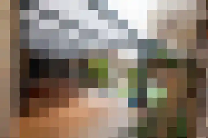 Willem van der Zaanstraat 2 Hellevoetsluis thumbnail 43