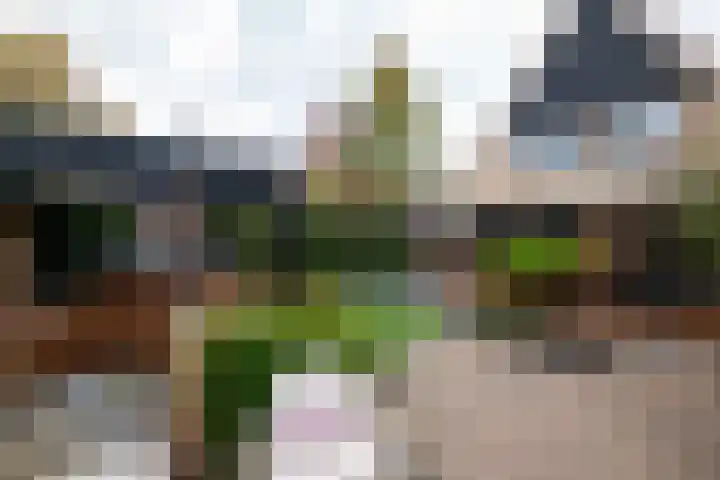 Willem van der Zaanstraat 2 Hellevoetsluis thumbnail 46