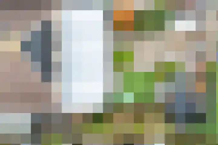 Willem van der Zaanstraat 2 Hellevoetsluis thumbnail 52