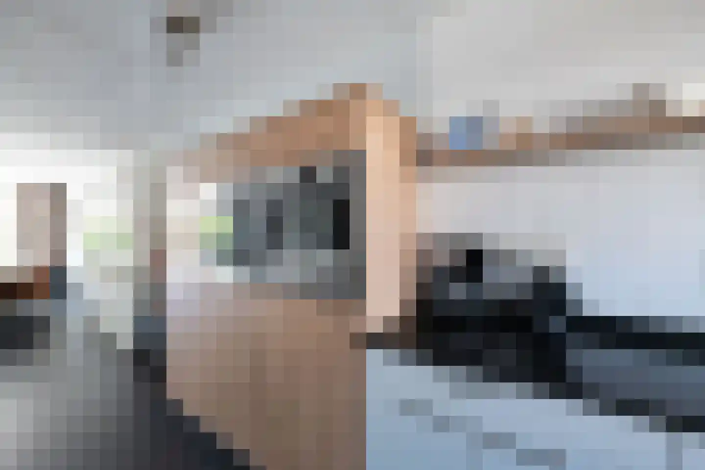Willem van der Zaanstraat 5 Hellevoetsluis thumbnail 7