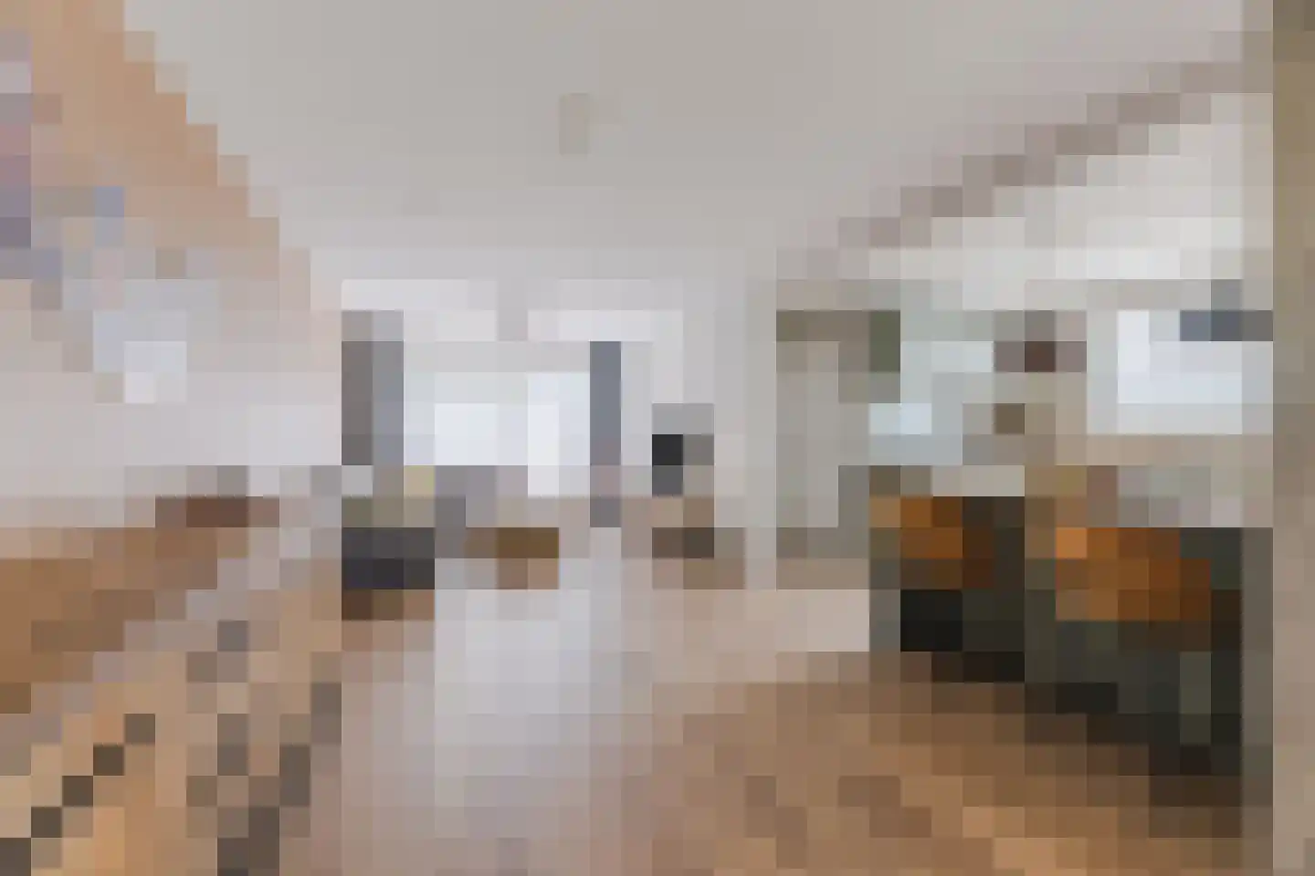 Willem van Duvenvoordestraat 12 Dongen thumbnail 11