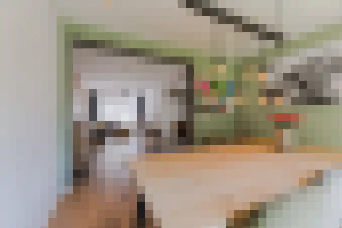 Willem van Duvenvoordestraat 12 Dongen thumbnail 14