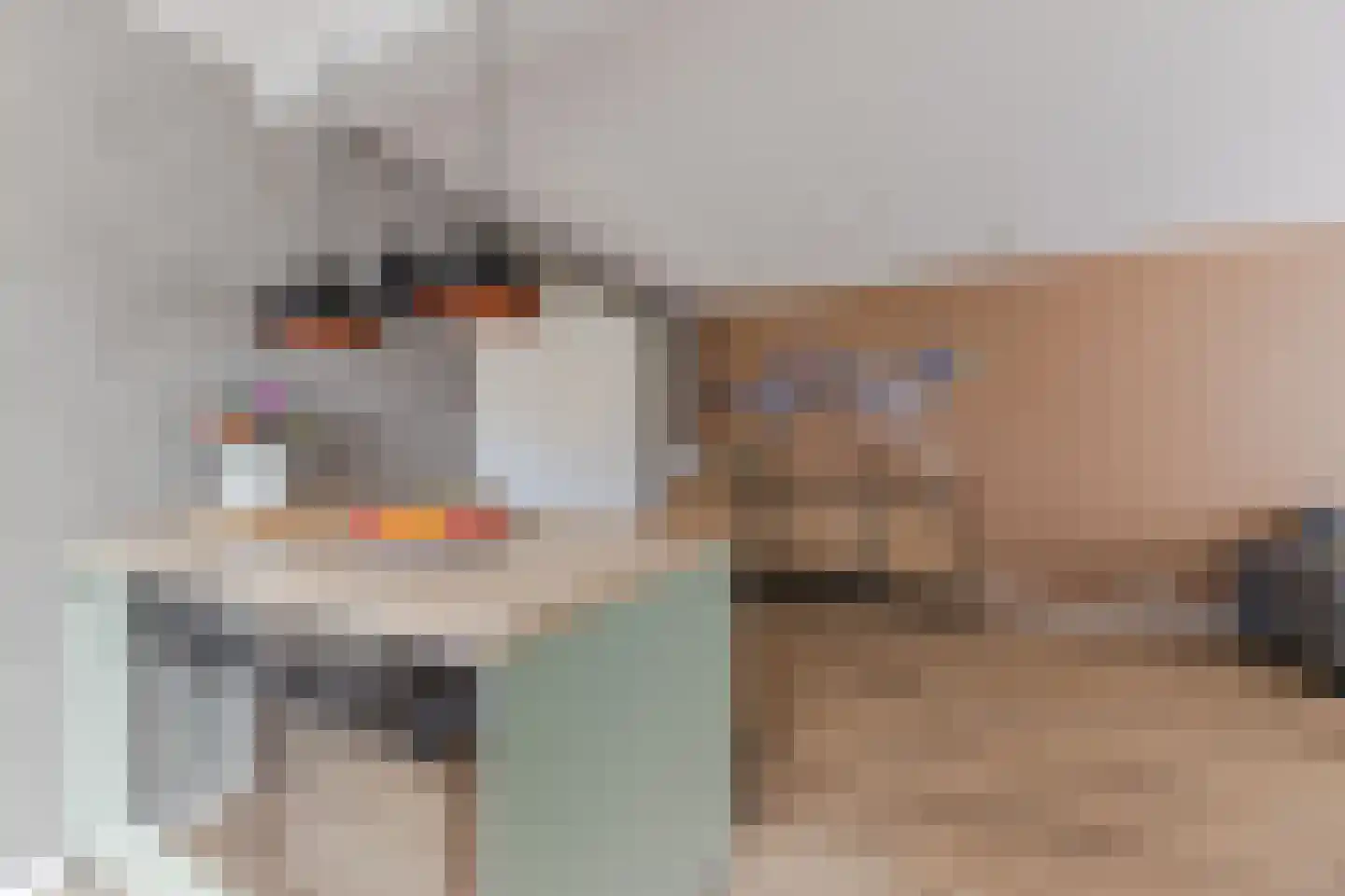 Willem van Duvenvoordestraat 12 Dongen thumbnail 19