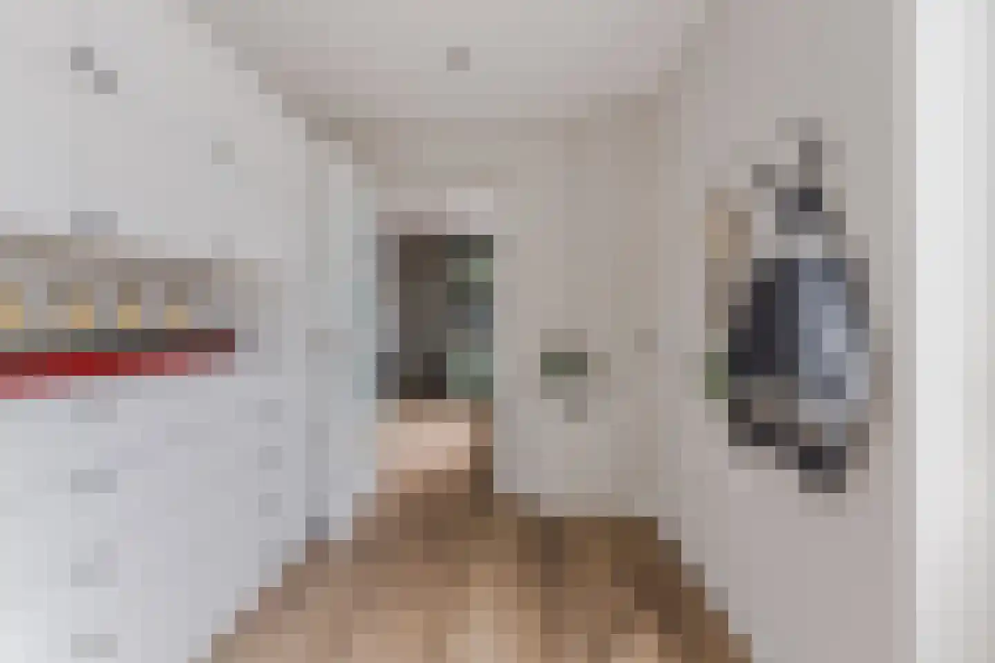 Willem van Duvenvoordestraat 12 Dongen thumbnail 21