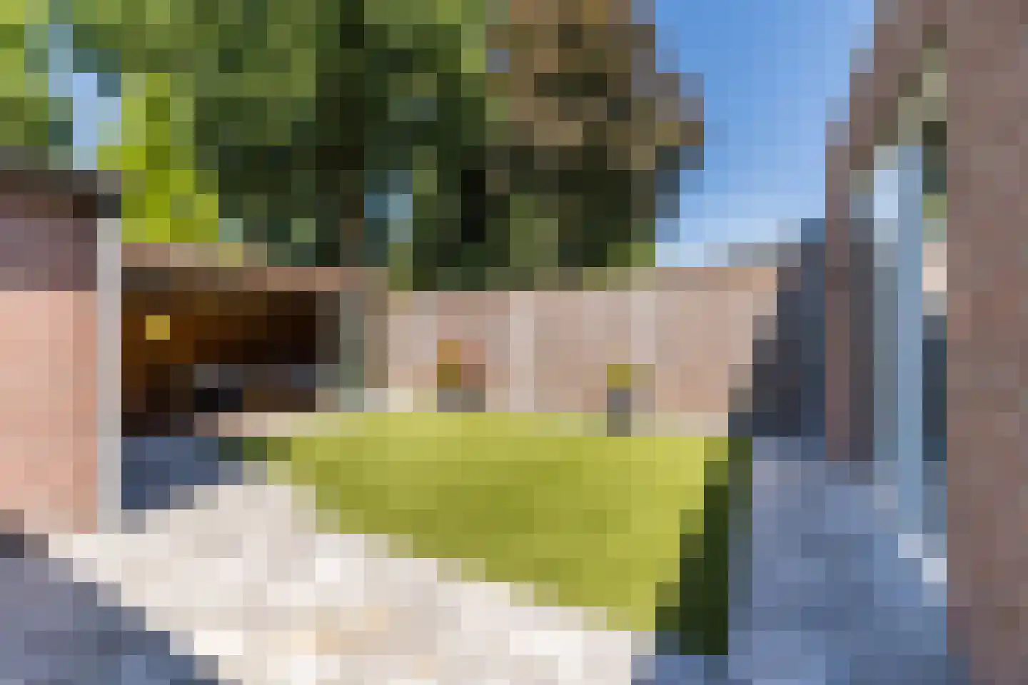 Willem van Duvenvoordestraat 12 Dongen thumbnail 26
