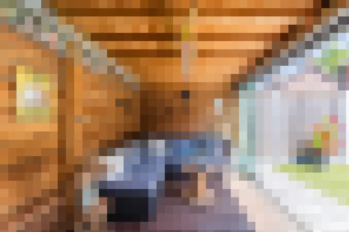 Willem van Duvenvoordestraat 12 Dongen thumbnail 4