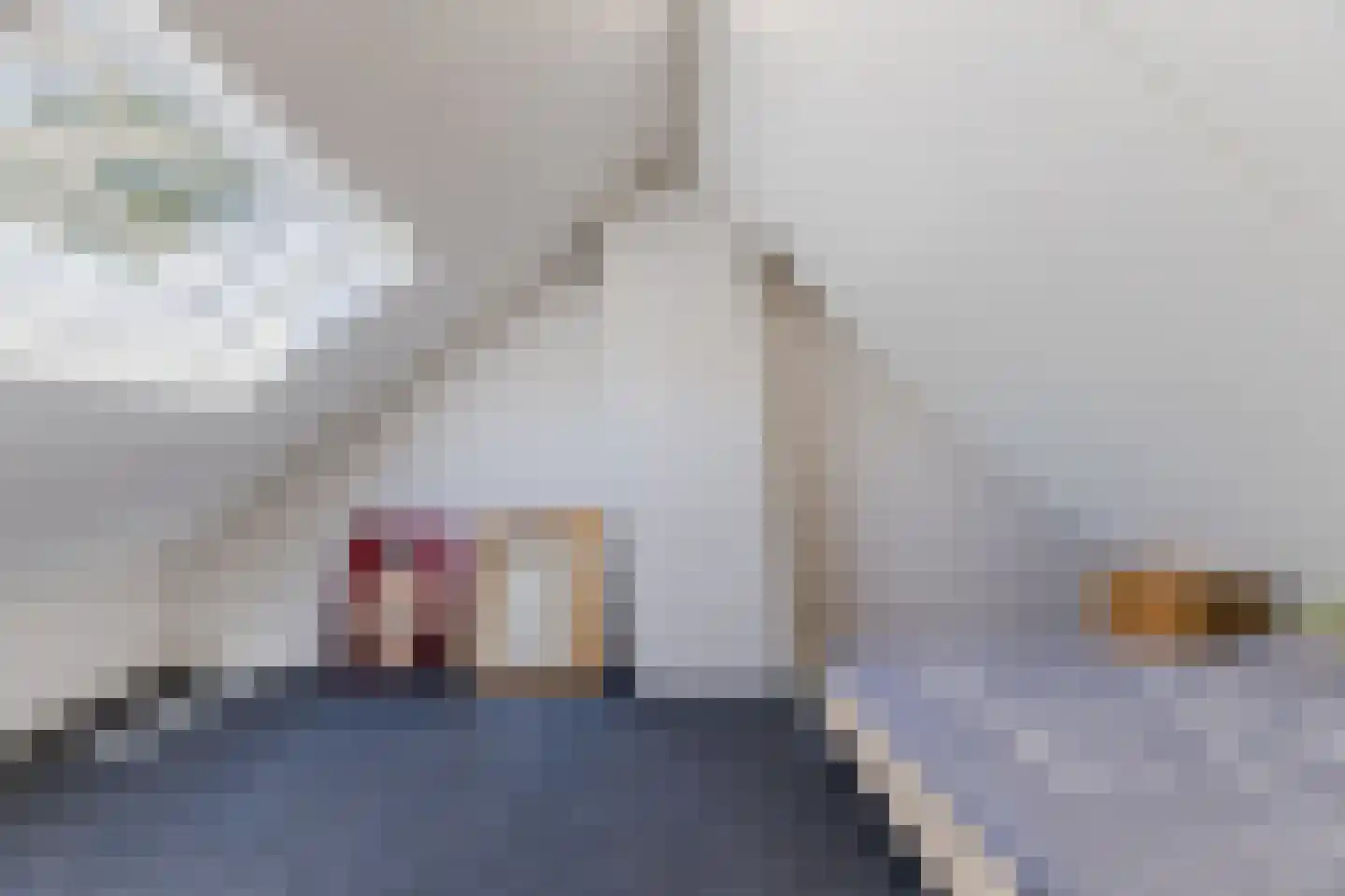 Willem van Duvenvoordestraat 12 Dongen thumbnail 45