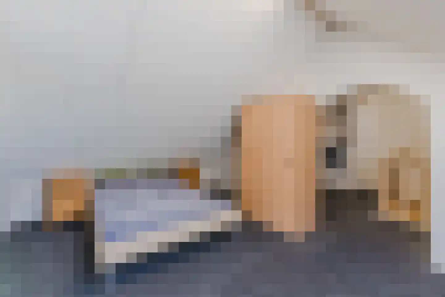 Willem van Duvenvoordestraat 12 Dongen thumbnail 47