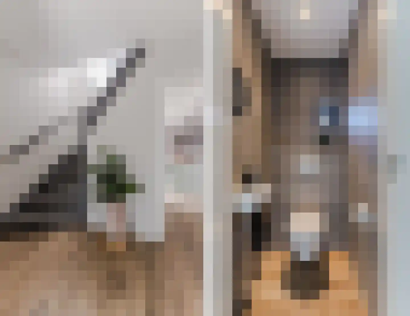 Willem van Duvenvoordestraat 12 Dongen thumbnail 7