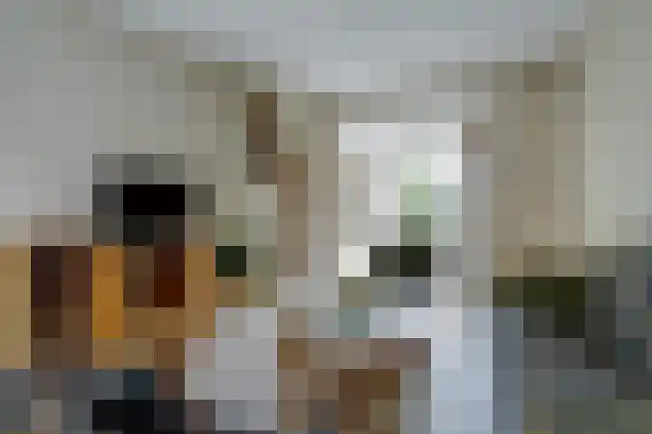 Willem van Duvenvoordestraat 16 Vianen thumbnail 12