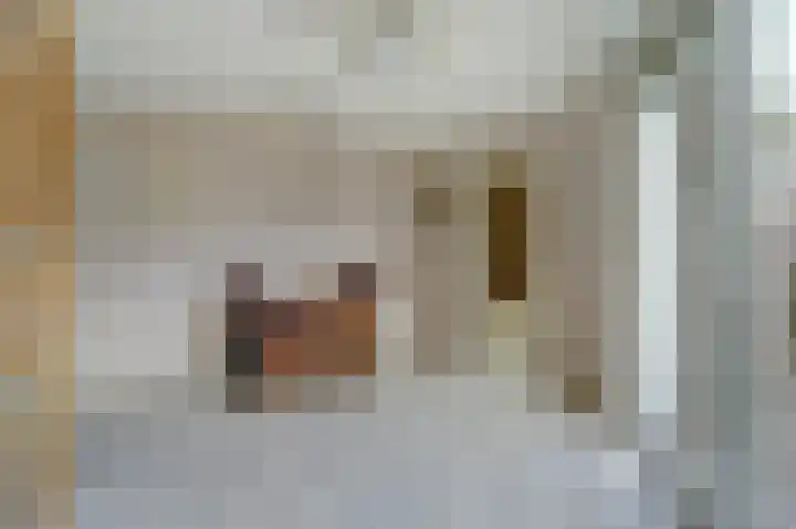 Willem van Duvenvoordestraat 16 Vianen thumbnail 17