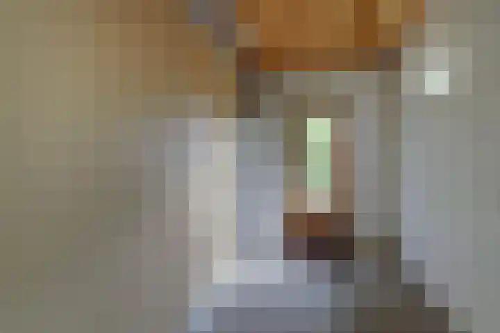 Willem van Duvenvoordestraat 16 Vianen thumbnail 23