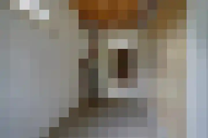Willem van Duvenvoordestraat 16 Vianen thumbnail 24