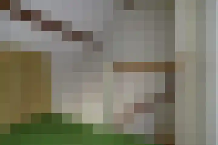Willem van Duvenvoordestraat 16 Vianen thumbnail 35