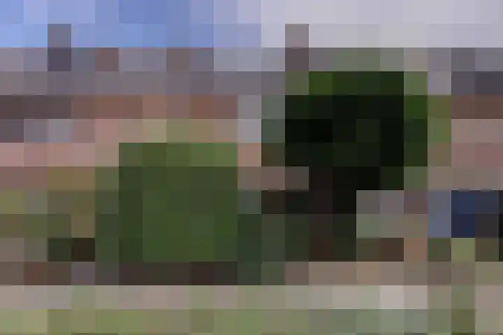 Willem van Duvenvoordestraat 16 Vianen thumbnail 5