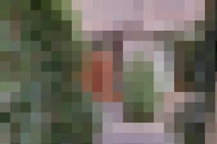 Willem van Duvenvoordestraat 16 Vianen thumbnail 8
