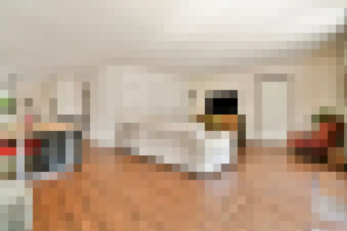 Willem van Ewijcklaan 6 Hendrik-Ido-Ambacht thumbnail 15